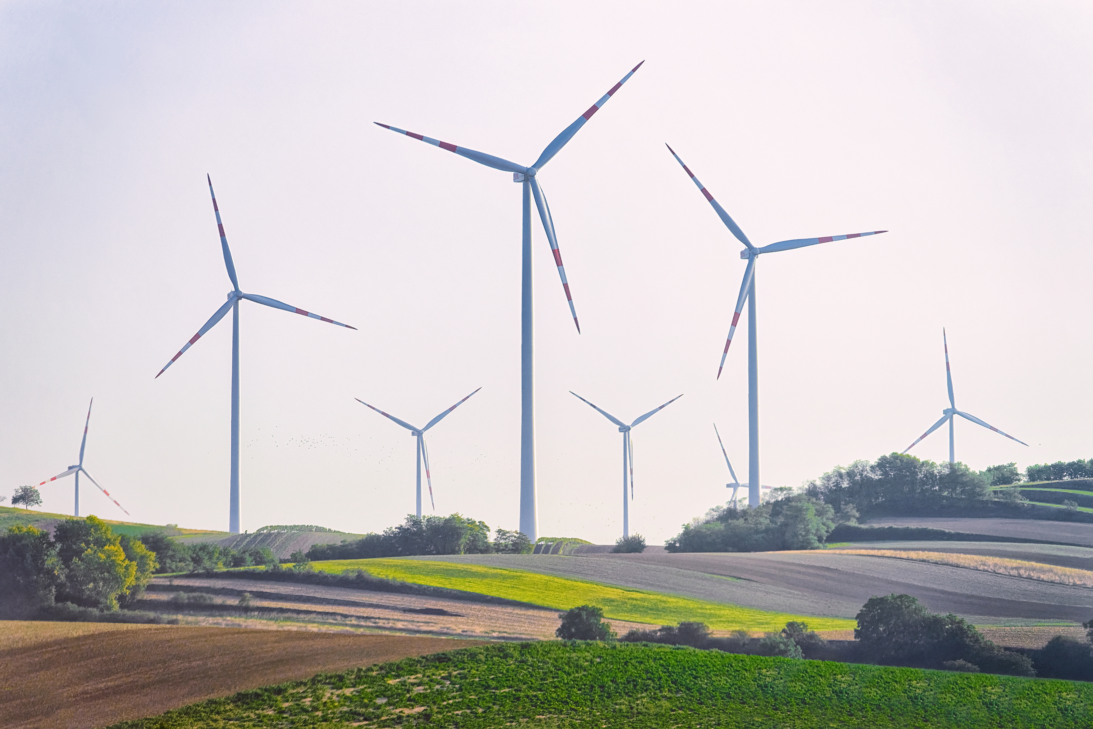 Adobestock 331549422 Preview