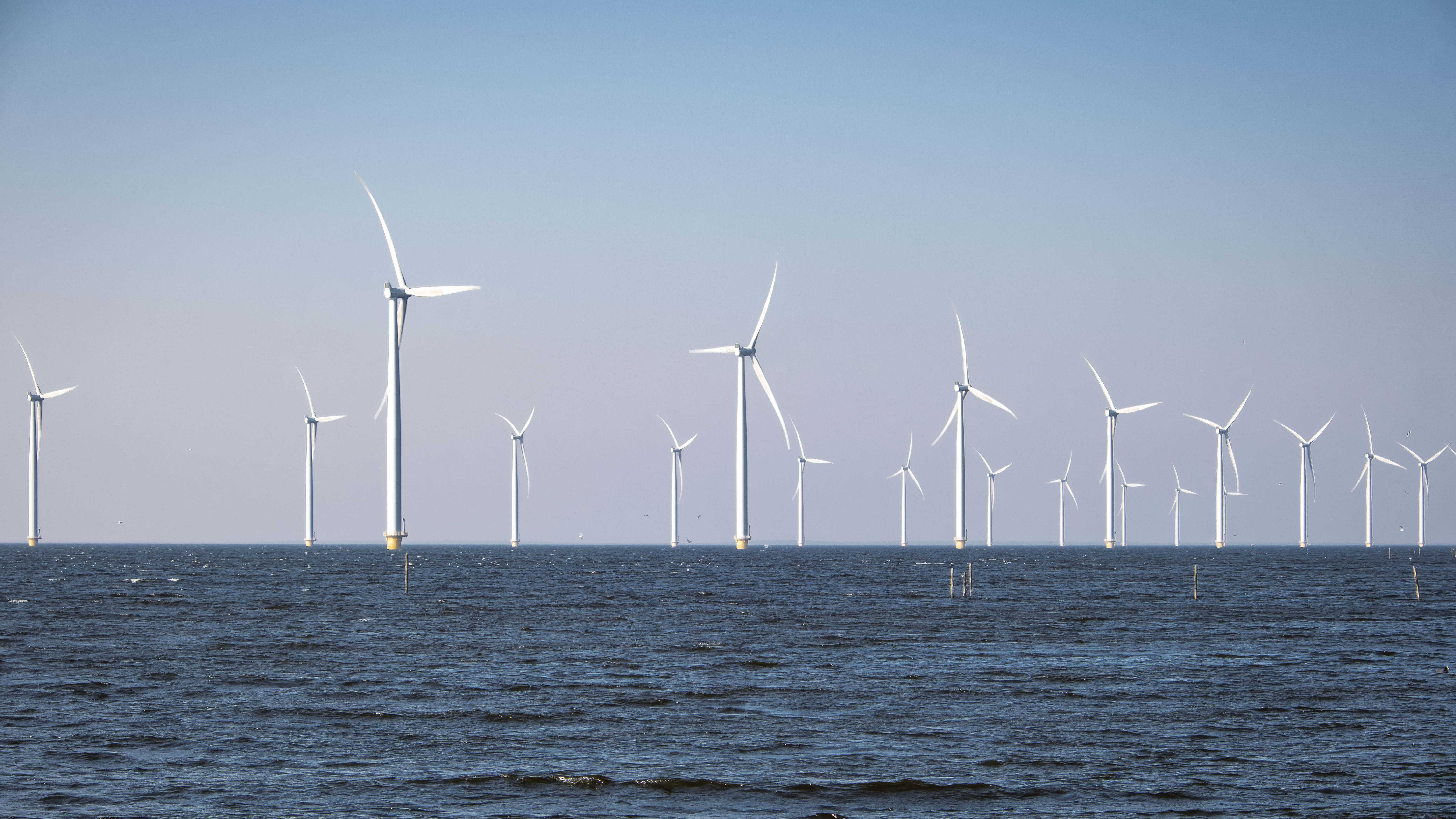 Adobestock 333728268 Preview